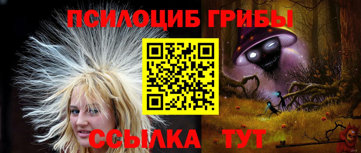 Псилоцибиновые грибы Psilocybine cubensis Воркута
