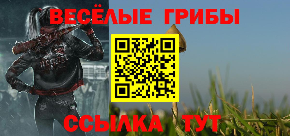 где купить наркотик  Псилоцибиновые грибы прущие грибы  Вход с VPN  Галлюциногенные грибы мицелий  Воркута 